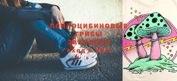 ECSTASY Алзамай