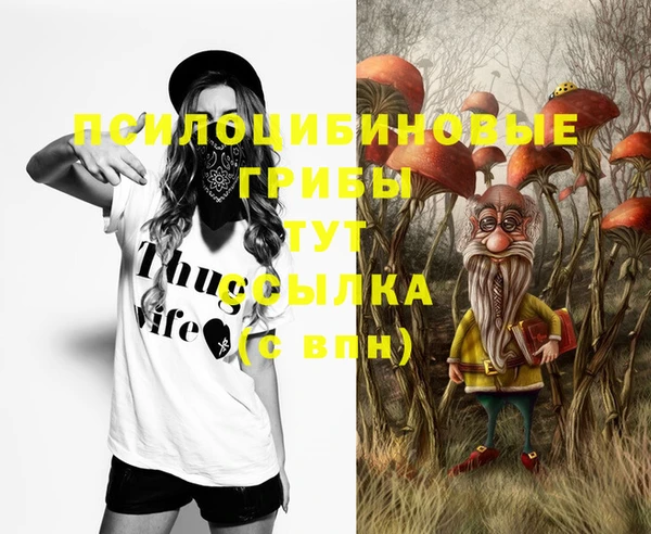 ECSTASY Алзамай