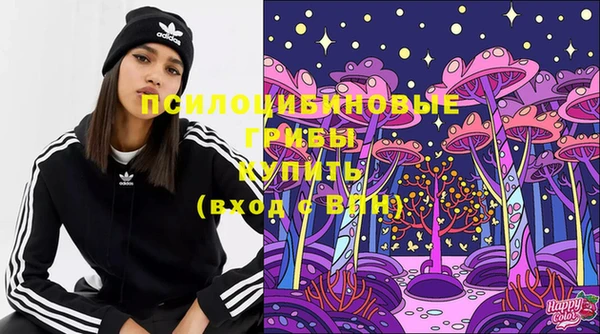 ECSTASY Алзамай